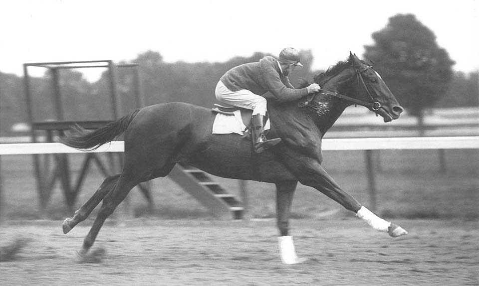 Popular Horses of HIstory Three Days, Three Ways