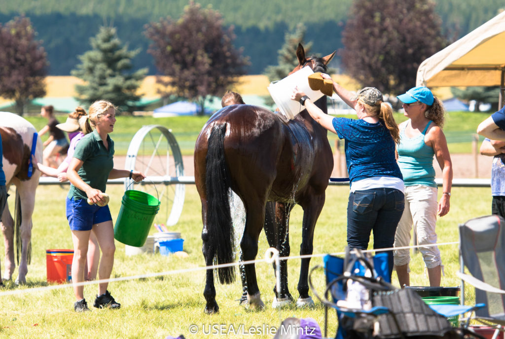 Vet Box Moments Three Days, Three Ways