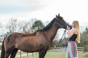 Loving Horses