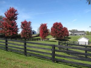 farm fencing