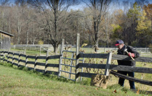 fence repairs